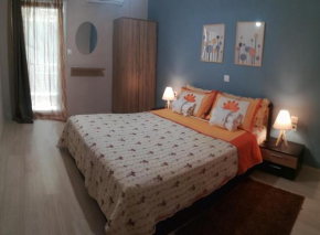 Central Apartment